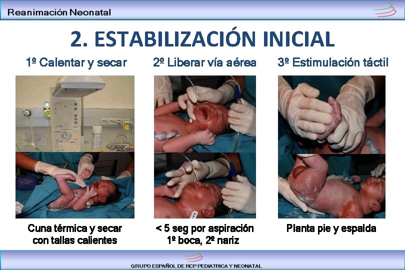 2. ESTABILIZACIÓN INICIAL 1º Calentar y secar 2º Liberar vía aérea 3º Estimulación táctil