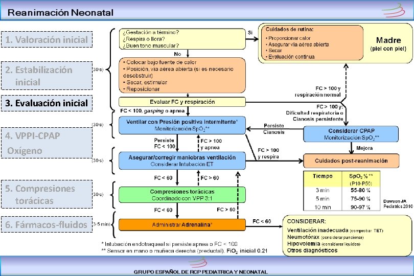 1. Valoración inicial 2. Estabilización inicial 3. Evaluación inicial 4. VPPI-CPAP Oxígeno 5. Compresiones