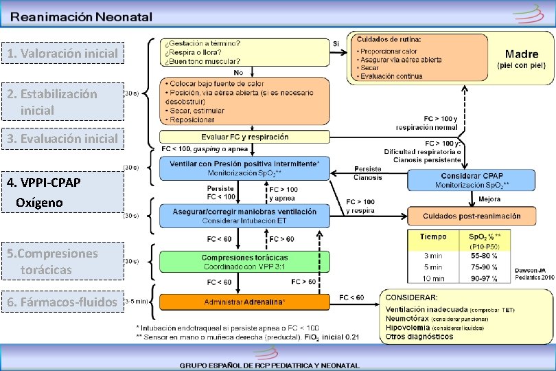 1. Valoración inicial 2. Estabilización inicial 3. Evaluación inicial 4. VPPI-CPAP Oxígeno 5. Compresiones