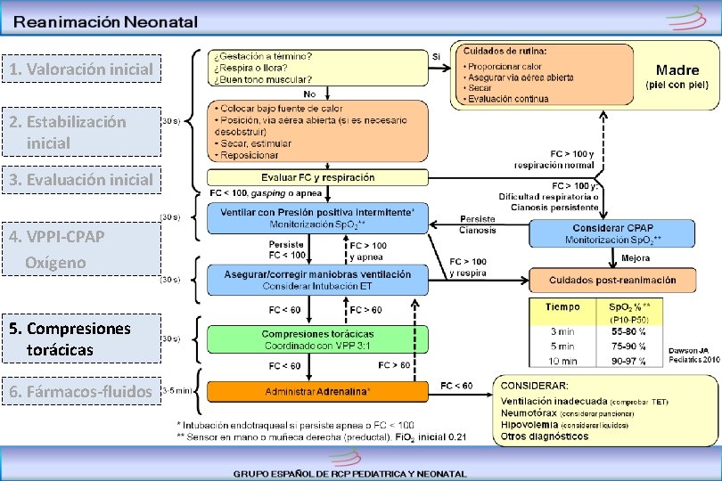 1. Valoración inicial 2. Estabilización inicial 3. Evaluación inicial 4. VPPI-CPAP Oxígeno 5. Compresiones
