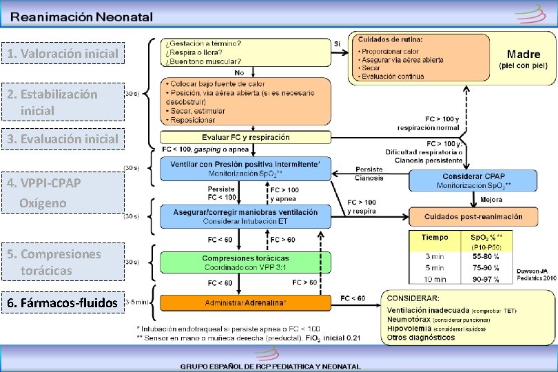 1. Valoración inicial 2. Estabilización inicial 3. Evaluación inicial 4. VPPI-CPAP Oxígeno 5. Compresiones