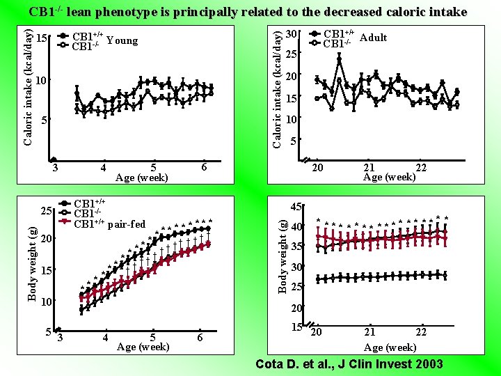 Caloric intake (kcal/day) CB 1+/+ Young CB 1 -/- 15 10 5 3 Body Caloric intake (kcal/day) CB 1+/+ Young CB 1 -/- 15 10 5 3 Body