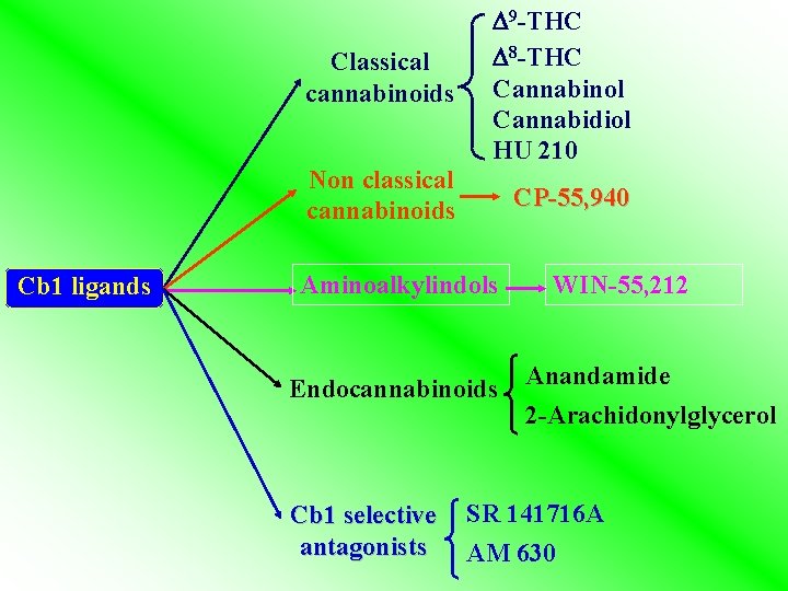 Cb 1 ligands Classical cannabinoids 9 -THC 8 -THC Cannabinol Cannabidiol HU 210 Non Cb 1 ligands Classical cannabinoids 9 -THC 8 -THC Cannabinol Cannabidiol HU 210 Non