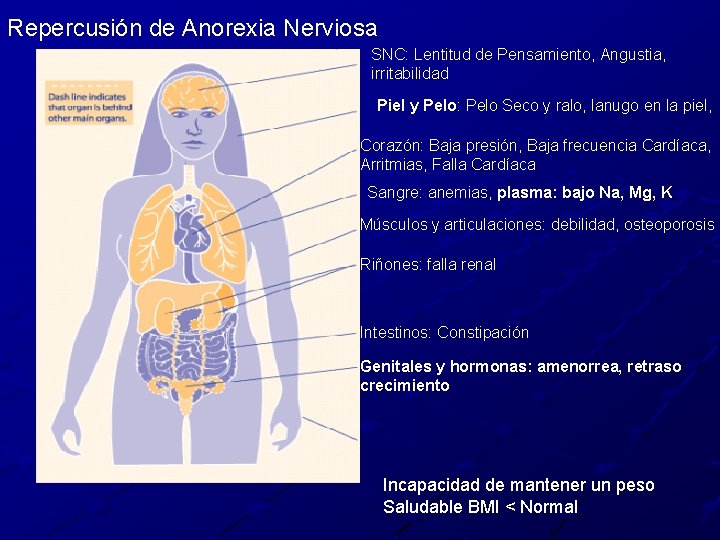Repercusión de Anorexia Nerviosa SNC: Lentitud de Pensamiento, Angustia, irritabilidad Piel y Pelo: Pelo