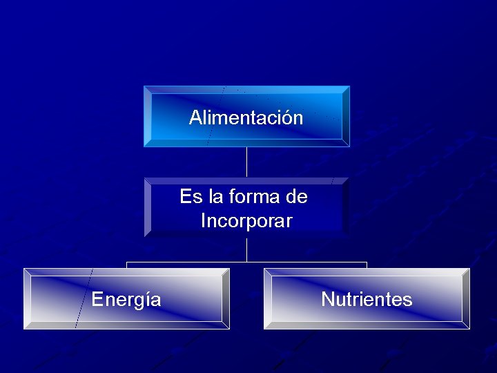 Alimentación Es la forma de Incorporar Energía Nutrientes 