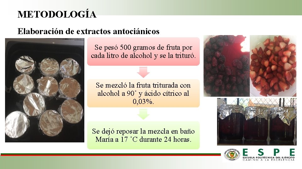 METODOLOGÍA Elaboración de extractos antociánicos Se pesó 500 gramos de fruta por cada litro