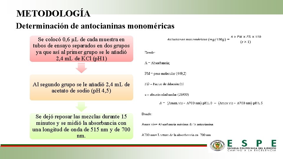 METODOLOGÍA Determinación de antocianinas monoméricas Se colocó 0, 6 µL de cada muestra en