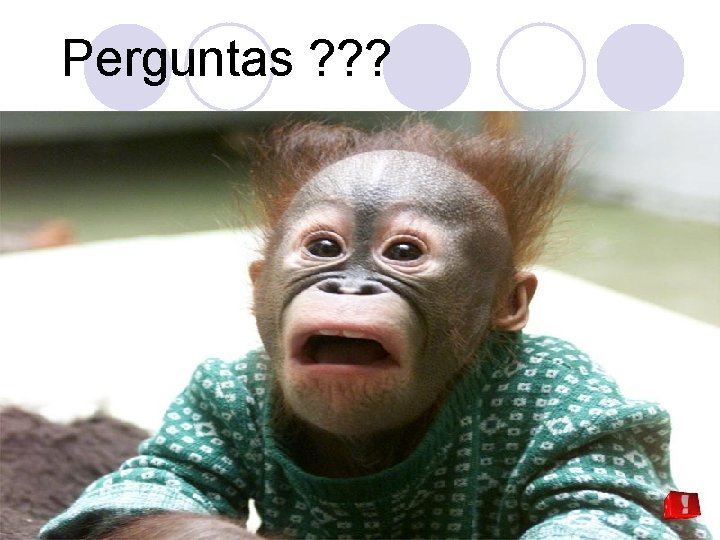 Perguntas ? ? ? 