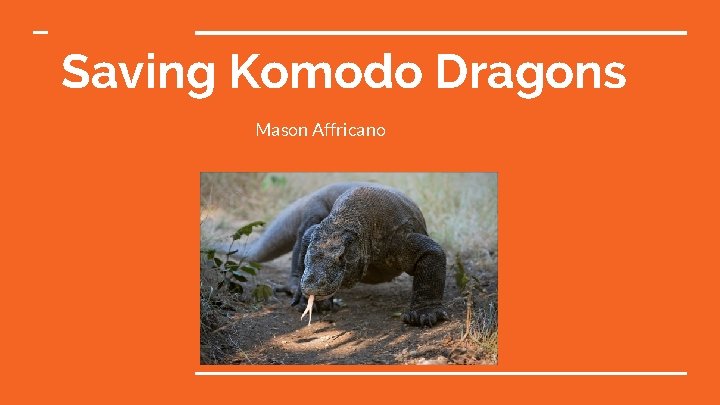 Saving Komodo Dragons Mason Affricano 