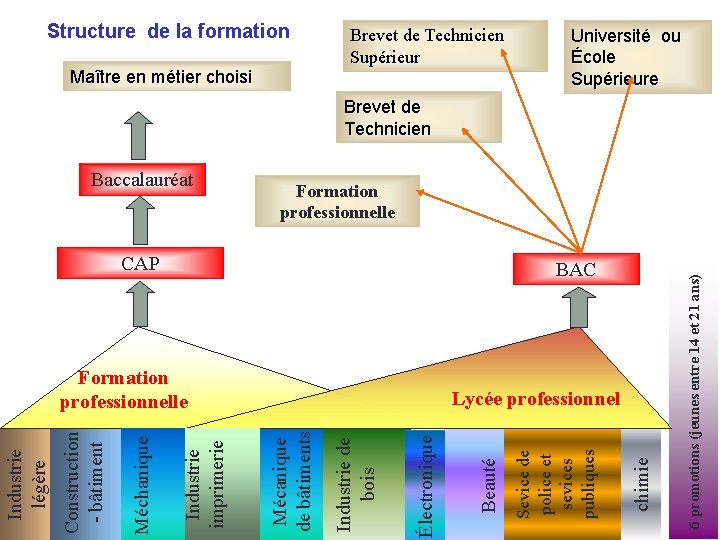 Structure de la formation Maître en métier choisi Brevet de Technicien Supérieur Université ou