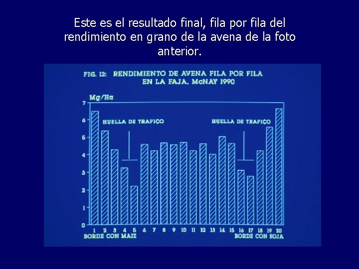 Este es el resultado final, fila por fila del rendimiento en grano de la