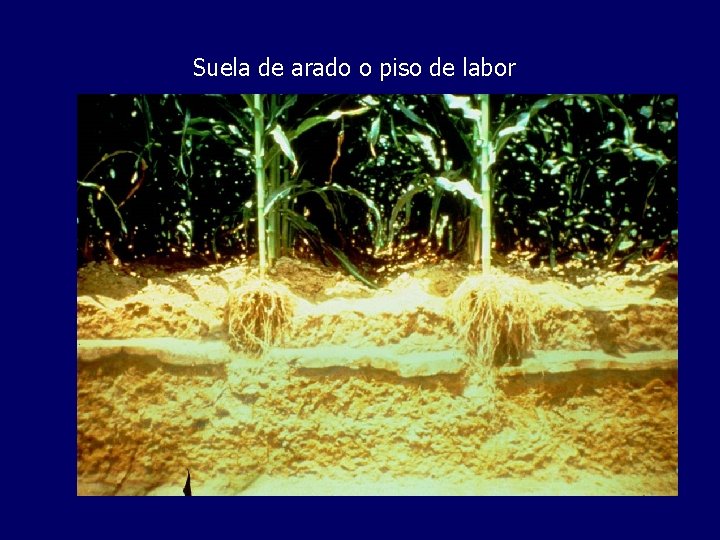 Suela de arado o piso de labor 