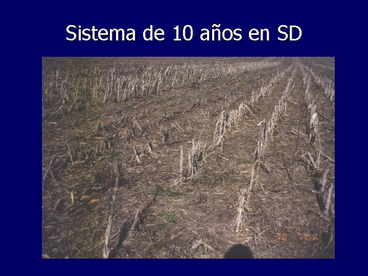 Sistema de 10 años en SD 