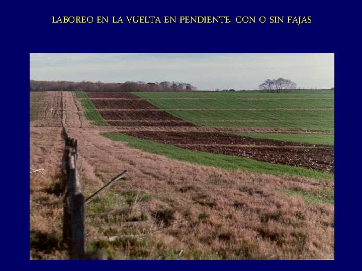 LABOREO EN LA VUELTA EN PENDIENTE, CON O SIN FAJAS 