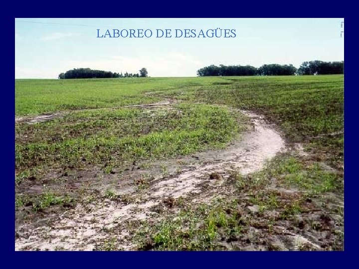 LABOREO DE DESAGÜES 