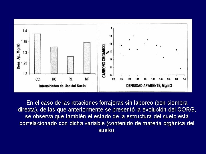 En el caso de las rotaciones forrajeras sin laboreo (con siembra directa), de las