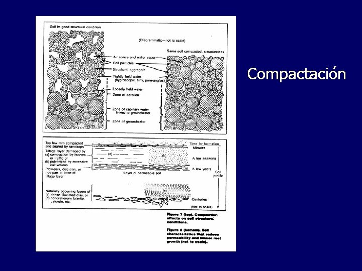 Compactación 