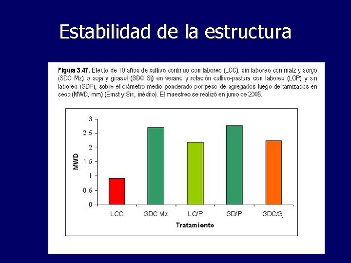 Estabilidad de la estructura 