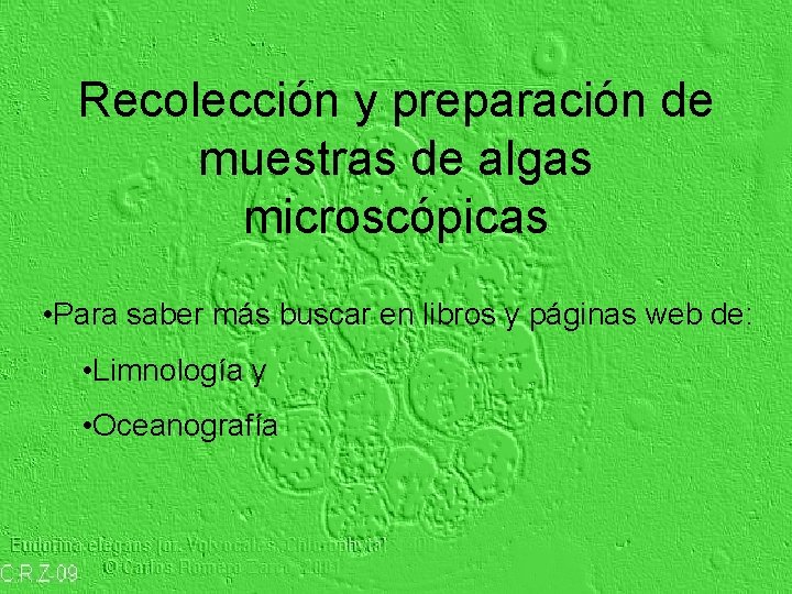 Recolección y preparación de muestras de algas microscópicas • Para saber más buscar en