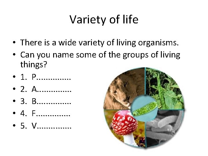 Variety of life • There is a wide variety of living organisms. • Can