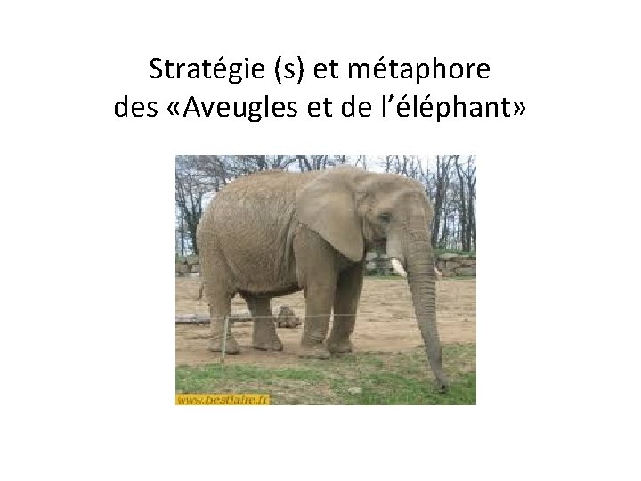 Stratégie (s) et métaphore des «Aveugles et de l’éléphant» 