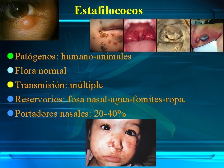 Estafilococos l Patógenos: humano-animales l Flora normal l Transmisión: múltiple l Reservorios: fosa nasal-agua-fomites-ropa.