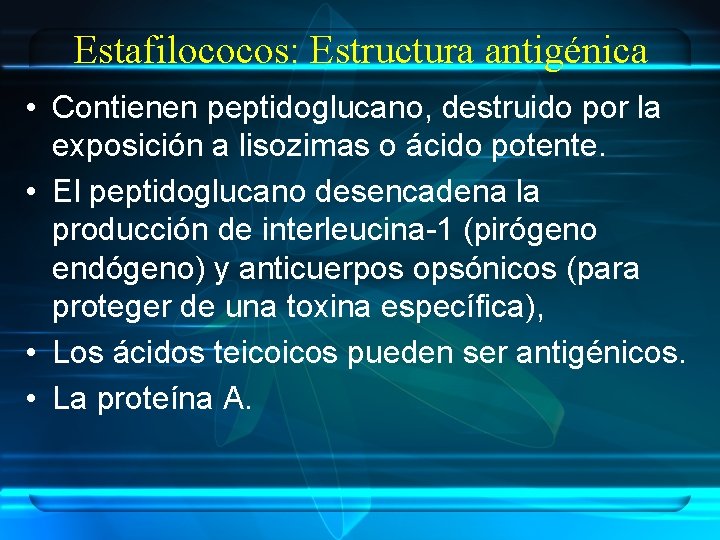 Estafilococos: Estructura antigénica • Contienen peptidoglucano, destruido por la exposición a lisozimas o ácido