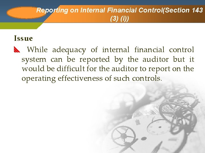 Reporting Company Logo on Internal Financial Control(Section 143 (3) (i)) Issue While adequacy of