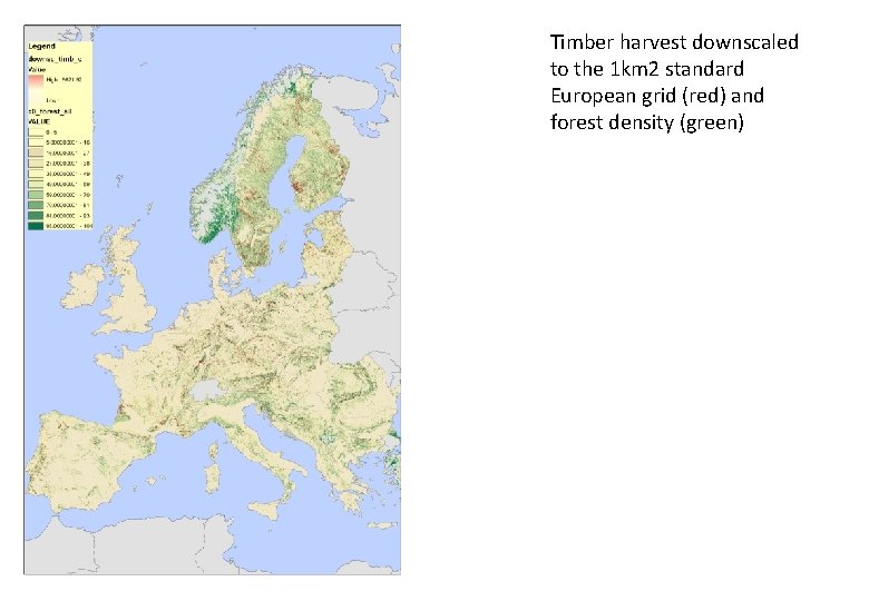 Timber harvest downscaled to the 1 km 2 standard European grid (red) and forest