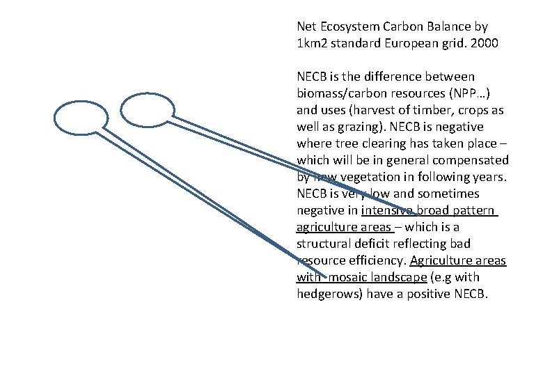 Net Ecosystem Carbon Balance by 1 km 2 standard European grid. 2000 NECB is