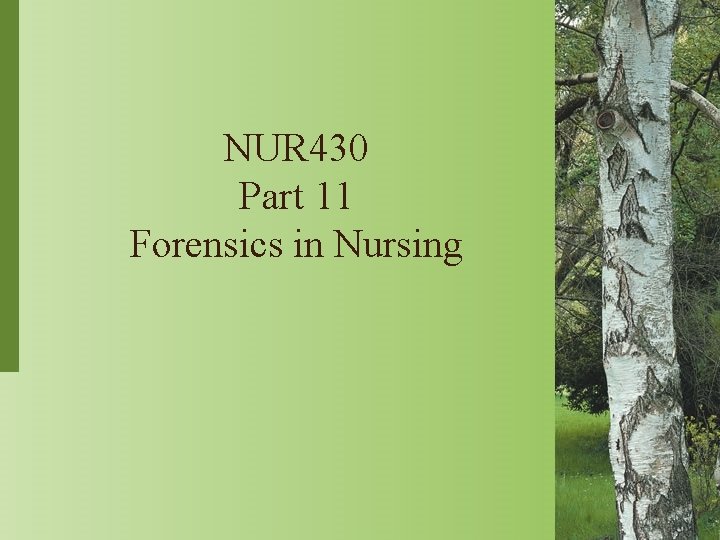 NUR 430 Part 11 Forensics in Nursing 