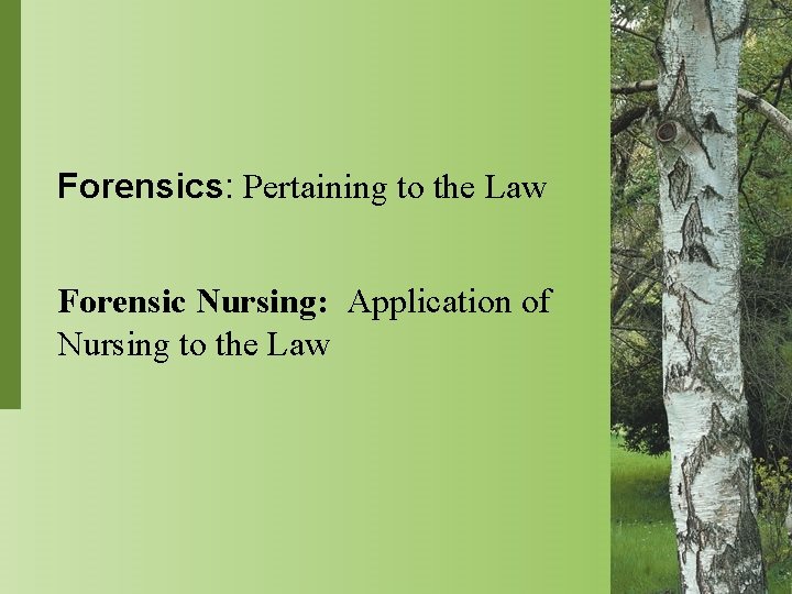 Forensics: Pertaining to the Law Forensic Nursing: Application of Nursing to the Law 