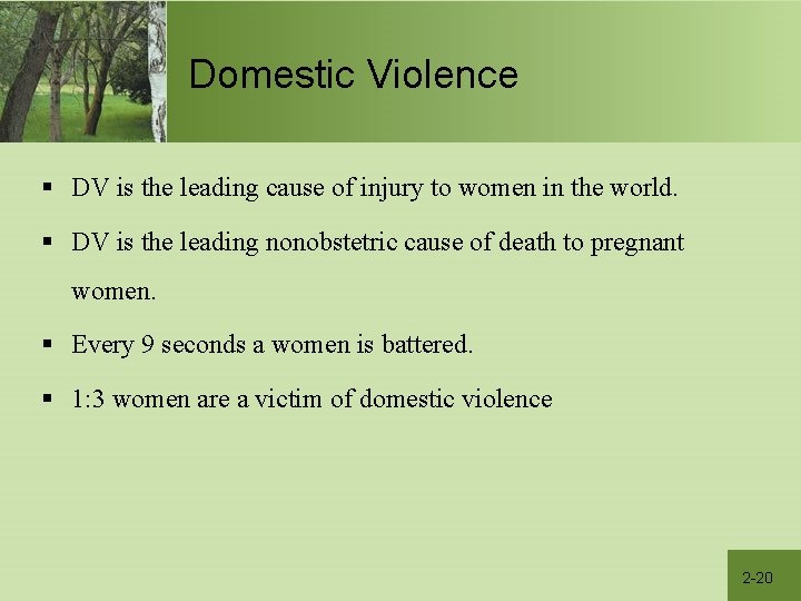 Domestic Violence § DV is the leading cause of injury to women in the