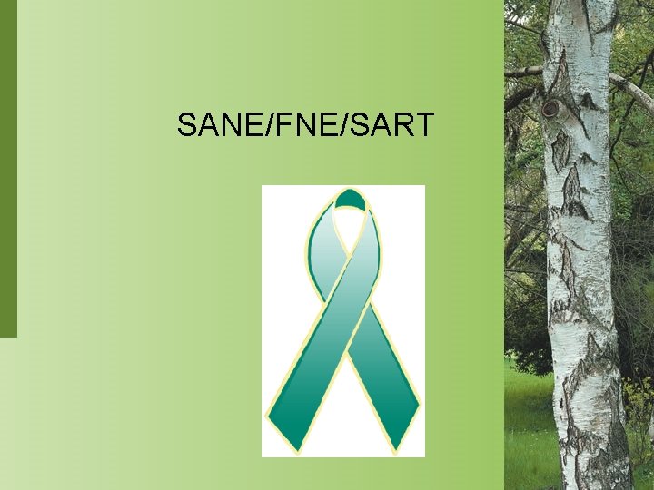 SANE/FNE/SART 