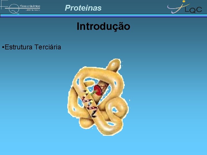 Proteinas Introdução • Estrutura Terciária 