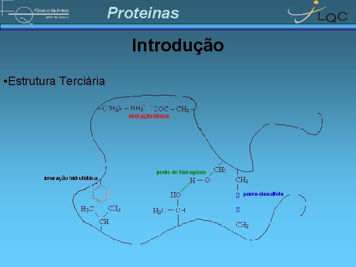 Proteinas Introdução • Estrutura Terciária 