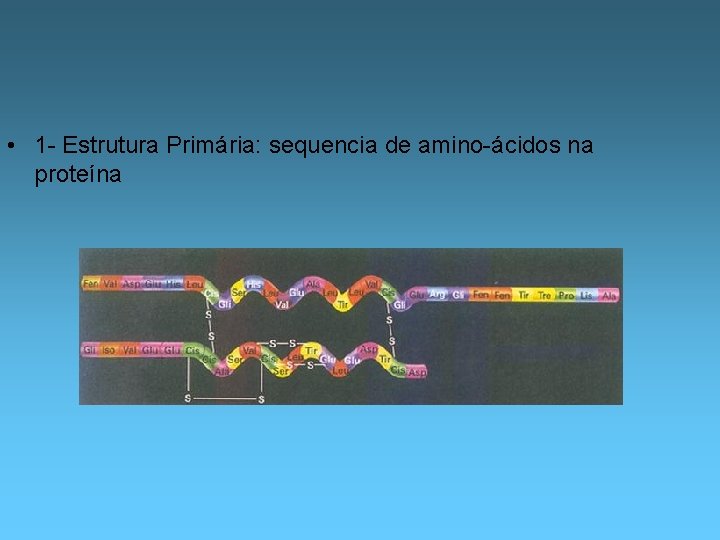  • 1 - Estrutura Primária: sequencia de amino-ácidos na proteína 