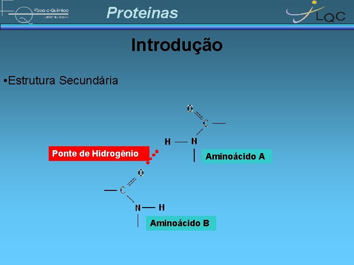 Proteinas Introdução • Estrutura Secundária Ponte de Hidrogênio Aminoácido A Aminoácido B 