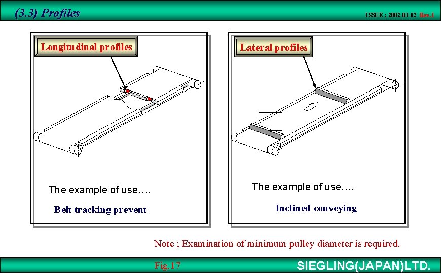 (3. 3) Profiles ISSUE ; 2002 -03 -02 Rev. 1 Longitudinal profiles Lateral profiles