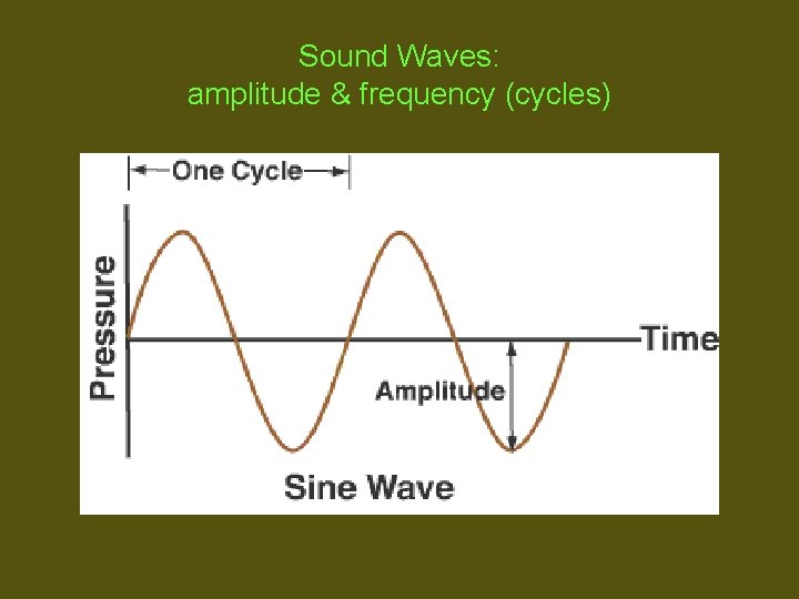 Sound Waves: amplitude & frequency (cycles) 