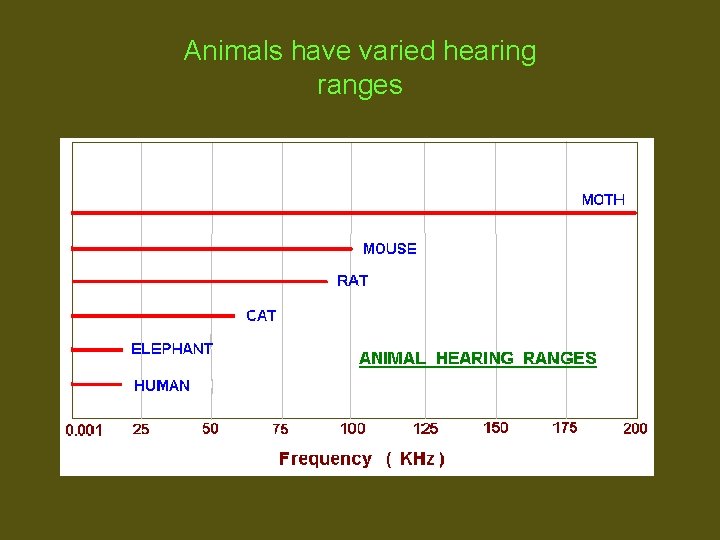 Animals have varied hearing ranges 