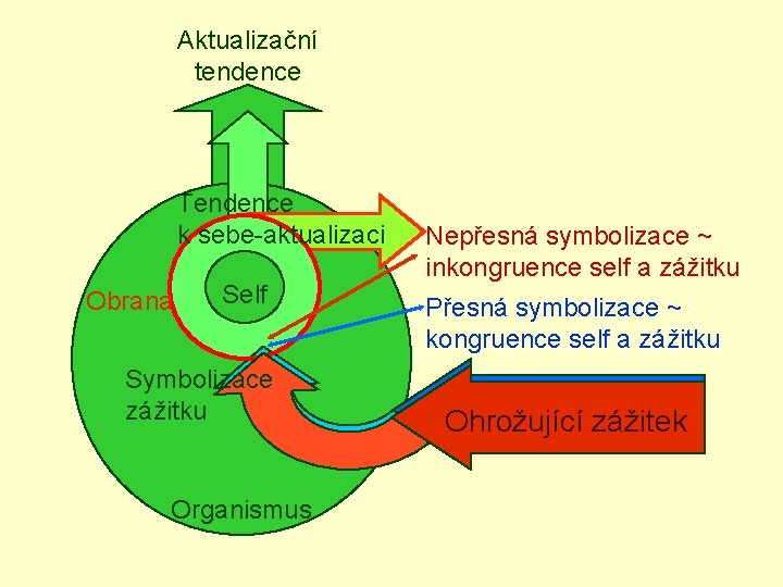 Aktualizační tendence Tendence k sebe-aktualizaci Obrana Self Symbolizace zážitku Organismus Nepřesná symbolizace ~ inkongruence