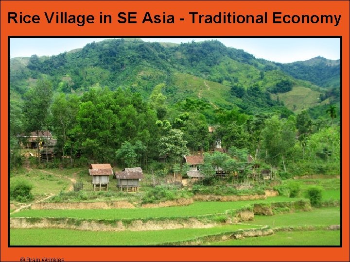 Rice Village in SE Asia - Traditional Economy 