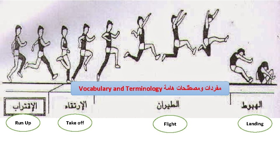 Vocabulary and Terminology ﻣﻔﺮﺩﺍﺕ ﻭﻣﺼﻄﻠﺤﺎﺕ ﻫﺎﻣﺔ Run Up Take off Flight Landing 