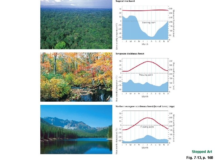 Stepped Art Fig. 7 -13, p. 160 