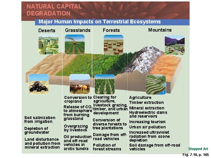 NATURAL CAPITAL DEGRADATION Major Human Impacts on Terrestrial Ecosystems Deserts Grasslands Forests Large desert