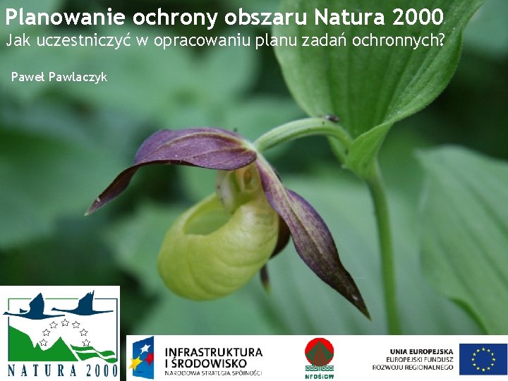 Planowanie ochrony obszaru Natura 2000 Jak uczestniczyć w opracowaniu planu zadań ochronnych? Paweł Pawlaczyk