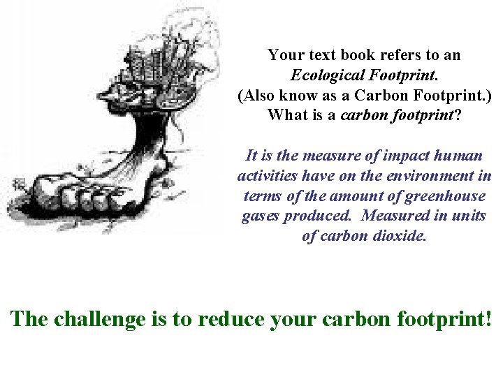 Your text book refers to an Ecological Footprint. (Also know as a Carbon Footprint.