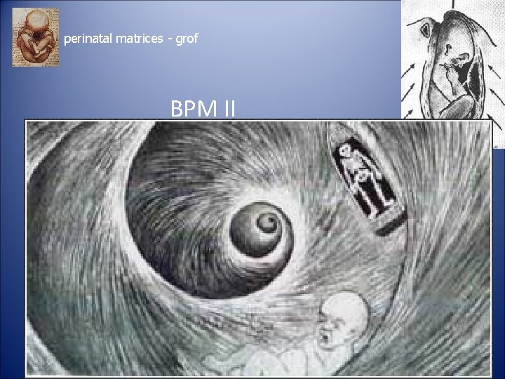 perinatal matrices - grof BPM II 