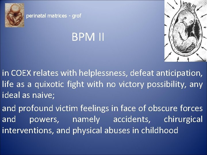 perinatal matrices - grof BPM II in COEX relates with helplessness, defeat anticipation, life